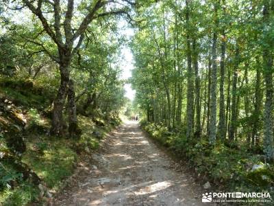 Montaña palentina;rutas a pie granja de san ildefonso segovia senderista rutas en bici madrid